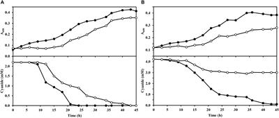 Role of the Dihydrodipicolinate Synthase DapA1 on Iron Homeostasis During Cyanide Assimilation by the Alkaliphilic Bacterium Pseudomonas pseudoalcaligenes CECT5344